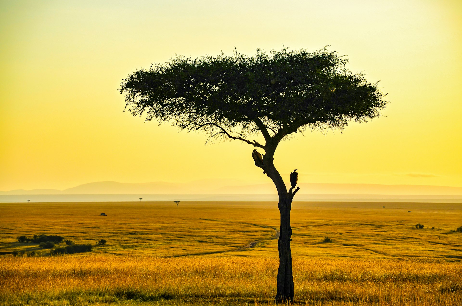 How Safe Is It to Travel to Africa? Comprehensive Guide for 2025